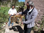 Volunteer and bee keeper